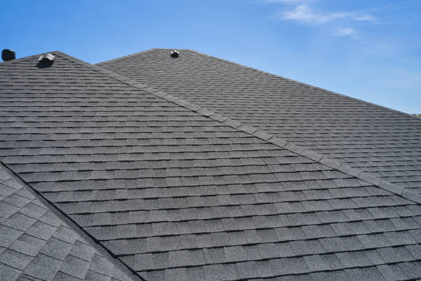 Best Roof Moss and Algae Removal  in Stone Mountain, GA